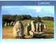 Delcampe - LOT N°1205 - LOT DE + 100 CARTES DE CARNAC - LES MENHIRS ET LES DOLMENS - BRETAGNE MEGALITHIQUE - Carnac