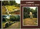 Delcampe - LOT N°1205 - LOT DE + 100 CARTES DE CARNAC - LES MENHIRS ET LES DOLMENS - BRETAGNE MEGALITHIQUE - Carnac