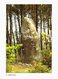 Delcampe - LOT N°1205 - LOT DE + 100 CARTES DE CARNAC - LES MENHIRS ET LES DOLMENS - BRETAGNE MEGALITHIQUE - Carnac