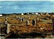 Delcampe - LOT N°1205 - LOT DE + 100 CARTES DE CARNAC - LES MENHIRS ET LES DOLMENS - BRETAGNE MEGALITHIQUE - Carnac