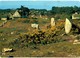 Delcampe - LOT N°1205 - LOT DE + 100 CARTES DE CARNAC - LES MENHIRS ET LES DOLMENS - BRETAGNE MEGALITHIQUE - Carnac