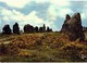 Delcampe - LOT N°1205 - LOT DE + 100 CARTES DE CARNAC - LES MENHIRS ET LES DOLMENS - BRETAGNE MEGALITHIQUE - Carnac