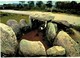 Delcampe - LOT N°1205 - LOT DE + 100 CARTES DE CARNAC - LES MENHIRS ET LES DOLMENS - BRETAGNE MEGALITHIQUE - Carnac