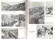 Libro Battaglie Grande Guerra Nelle  Prealpi Venete Di Pieropan De Peron E Brunello 1983 - War 1914-18