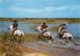 CHEVAUX EN CAMARGUE - MEJANES - Cavaliers Camarguais Sur Les Bords Du Vaccarès - 13 - Chevaux