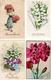 LOT DE 20 CARTES FLEURS DIVERSES PETIT PRIX 4 EUROS - Bloemen