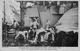 COALING SHIP - POSTED SPRING LODGE, FAWLEY 1910 #89616 - Guerra