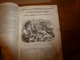 Delcampe - 1845-46 MUSEE DES FAMILLES:Histoire De La Danse;Histoire Des Poupées,des Marionnettes;Tanger;Venise;Peintre Apelles ;etc - 1800 - 1849