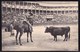 CPA PORTUGAISE - PORTUGAL * SORTE DE VARA ( Picador Melones Citando ) * - Corrida