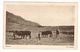 CPA.Afrique.Lessouto (Lesotho)  Labours.    (F.207) - Lesotho