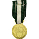 France, Médaille D'honneur Communale, Régionale Et Départementale, Médaille - Autres