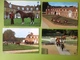 CP. 2380. Douze Cartes Postales Du Haras Du Pin A Exmes - Exmes