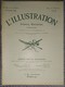 L'Illustration 3962 8 Février 1919 Wilson/Faux Rodin/Louis Barthou/Maroc Tafilalet/Le Comité Des Forges/Roosvelt/Lille - L'Illustration