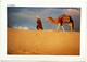 #734 Camellar In The Sahara Desert, Camel - TUNISIA, North Africa - Postcard - Otros & Sin Clasificación