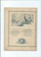 Le Loup Et L'Agneau Fables De La Fontaine Cahier Complet Mais Désolidarisé ! Couverture Protège-cahier +/- 1900 3 Scans - Protège-cahiers