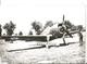 PHOTO AVION CURTISS H75 P36 CHASSEUR  ARCHIVE CUICH  12X8CM - 1939-1945: 2ème Guerre