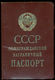 SOVIET TOURIST EXTERNAL PASSPORT USSR CIVIL FOREIGN TRAVEL ABROAD 1990 EXPIRED PASSEPORT PASS REISEPASS FINLAND VISAS - Historical Documents