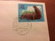 Premier Jour. Flora Of USSR. Walrus. Sea Elephant. USSR Special Cancellation Postal Cover 1978 By Kolganov - 1970-79