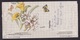 South Africa: Stationery Aerogramme To Netherlands, 1991, Extra Stamp, Flower, Butterfly, Air Letter (minor Damage) - Brieven En Documenten