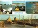 Delcampe - LOT N°1251 - LOT DE 60 CARTES DE CAMARET-SUR-MER  + CACHET RADE DE BREST POINTE DES ESPAGNOLS ROSCANVEL - Camaret-sur-Mer