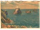 Delcampe - LOT N°1251 - LOT DE 60 CARTES DE CAMARET-SUR-MER  + CACHET RADE DE BREST POINTE DES ESPAGNOLS ROSCANVEL - Camaret-sur-Mer