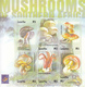 2001 Lesotho Mushrooms Fungi Set Of 2 Miniature Sheets Of 6 MNH - Lesotho (1966-...)