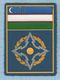 UZBEKISTAN  / Patch Abzeichen Parche Ecusson / Collective Security Treaty Organization. - Ecussons Tissu