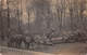 ¤¤  -  Carte-Photo Militaire Non Située De Soldats En Uniformes  -  Bucherons Aux Travail  -  Chevaux   -  ¤¤ - Uniformes