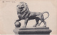 CPA - Waterloo - Le Lion / The Lion - NELS - 1919 - Waterloo