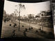 8d) Genova Albaro Valletta Cambiaso Il Viale Con Alberi Appena Piantati  19/7/1961 Timbri Al Retro Archivio Fotografico - Luoghi