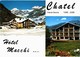 Delcampe - LOT N°1276 - LOT DE 65 CARTES DE CHATEL - Châtel