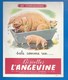 49 - ANGERS - BUVARD ILLUSTRÉ - BISCOTTES L'ANGEVINE - DICTONS - COMPARAISONS - SALECOMME UN....COCHON - Biscottes