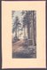 NZ Postcard 1/2d KEVII Rural Trees Scene. - Cartas & Documentos