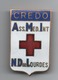 Broche  Cloisonnée émaillée  Ass  Med Int  Credo Lourdes  43 Mm X 26 Mm - Services Médicaux