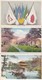 ¤¤  -  JAPON  -  Lot De 8 Cartes  - Drapeaux Des Alliés - Kyoto, Fuji Mountain Etc.........  -  ¤¤ - Autres & Non Classés