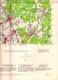 Delcampe - KAPELLEN Situatie 1928-37 MILITAIRE STAFKAART 7 SCHELDE KALMTHOUT BRASSCHAAT OORDEREN BERENDRECHT DOEL KIELDRECHT S458 - Kapellen