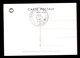 Postcard Ballon Mail - Nice Stamp And Cancel On Postcard 'La Poste Par Ballon 1870-71' / 2 Scans - Andere (Lucht)