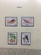 Delcampe - Collection First Stamps In Euro MNH Very Fine - Collezioni (in Album)