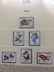 Delcampe - Collection First Stamps In Euro MNH Very Fine - Collezioni (in Album)