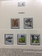 Delcampe - Collection First Stamps In Euro MNH Very Fine - Collezioni (in Album)