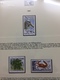 Delcampe - Collection First Stamps In Euro MNH Very Fine - Collezioni (in Album)