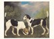 Postcard George Stubbs A Couple Of Foxhounds 1792 Tate Gallery London My Ref  B23430 - Paintings