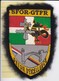 T 2)  Écusson Tissu Militaire Ou Autre (Format 12 X 08) - Patches