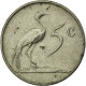Monnaie, Afrique Du Sud, 5 Cents, 1974, TTB, Nickel, KM:84 - Afrique Du Sud