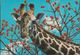 Kenia  East Afrika - Wildlife - Giraffe - Nice Stamp - Kenia