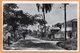 Paramaribo Suriname Old Real Photo Postcard - Suriname