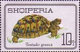 USED STAMPS Albania - Reptiles	 -1966 - Albania