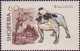 Delcampe - USED STAMPS Albania - Dogs	 -1966 - Albania