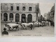 Cortège Historique. Reims Magnifique. Char De La Laine - Reims