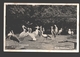 Rhenen - Ouwehands Dierenpark Op De Grebbeberg - Bij De Gezelschapsvijver - 1951 - Pelikaan / Pelican - Rhenen